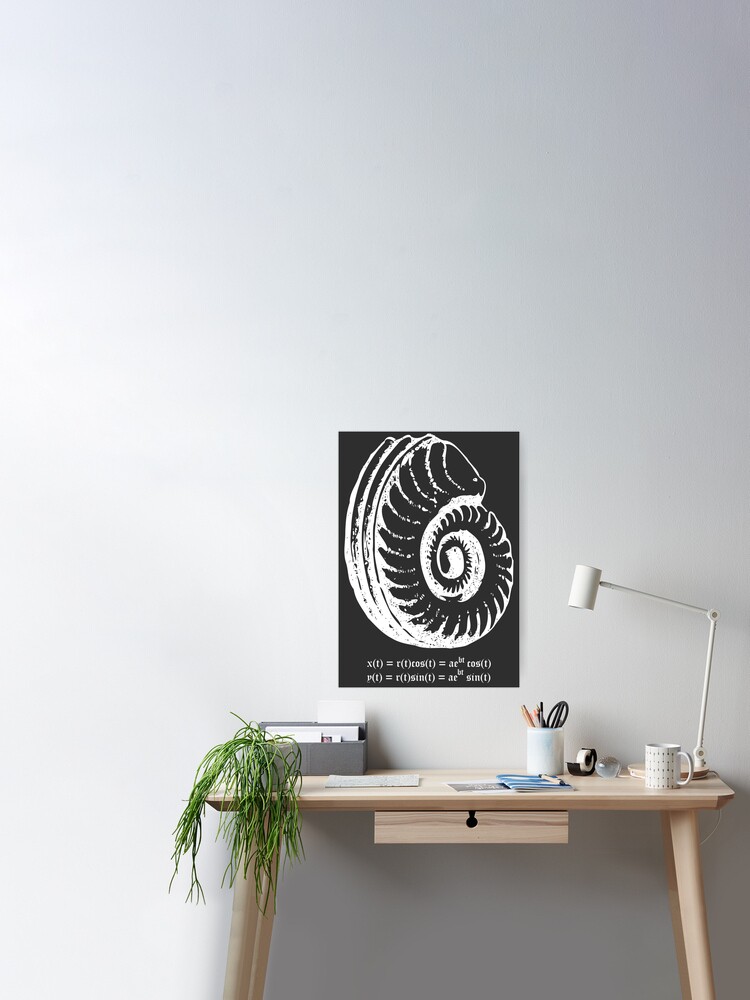Spiral Shell with Math (white) Poster for Sale by funmaths