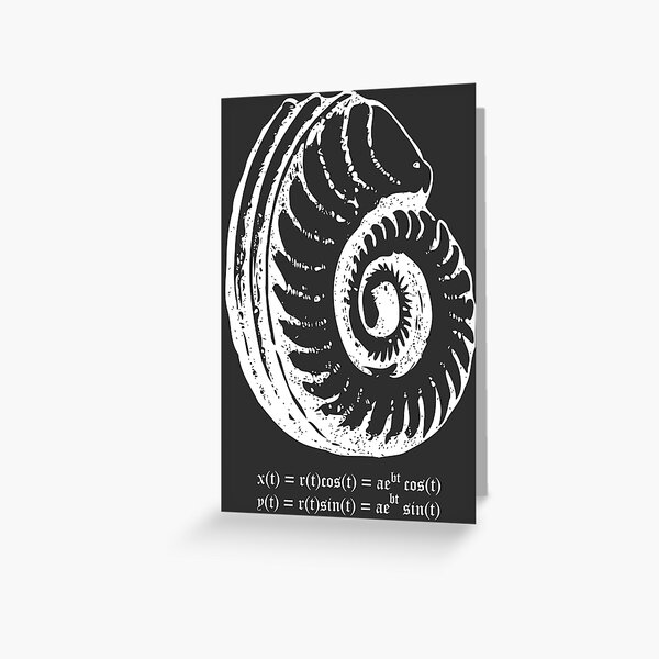 Spiral Shell with Math (white) Greeting Card