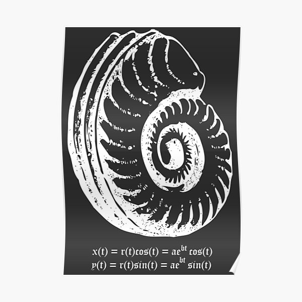 Spiral Shell with Math (white) Poster