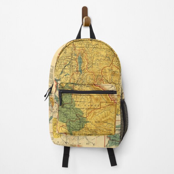Item preview, Vintage Idaho Minerals & Natural Resources Map (1908) designed and sold by BravuraMedia.