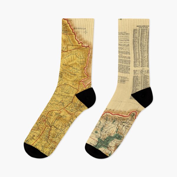 Item preview, Vintage Idaho Minerals & Natural Resources Map (1908) designed and sold by BravuraMedia.