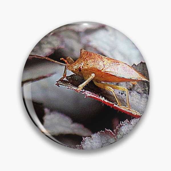 Item preview, Shield Bug On Amethyst Myst Heuchera designed and sold by Jean Gregory Evans.
