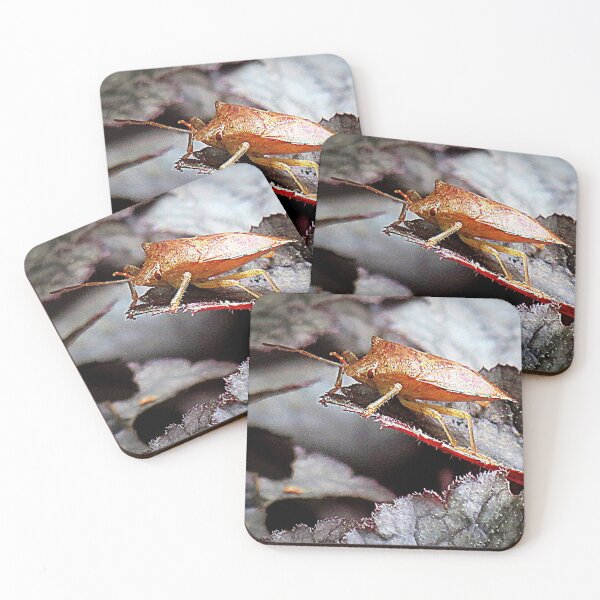 Item preview, Shield Bug On Amethyst Myst Heuchera designed and sold by Jean Gregory Evans.