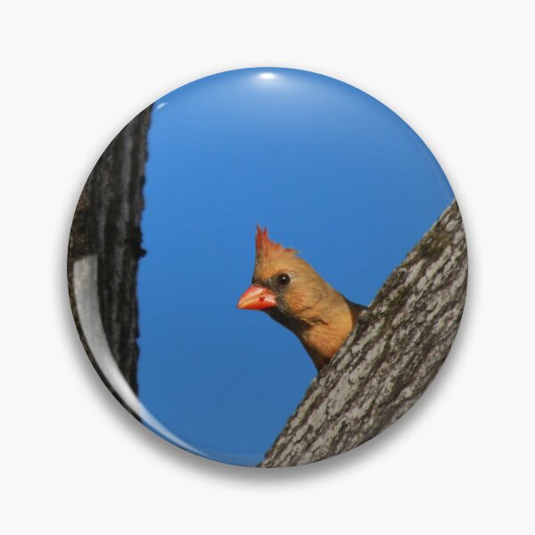Item preview, Peeking Cardinal designed and sold by StampCity.