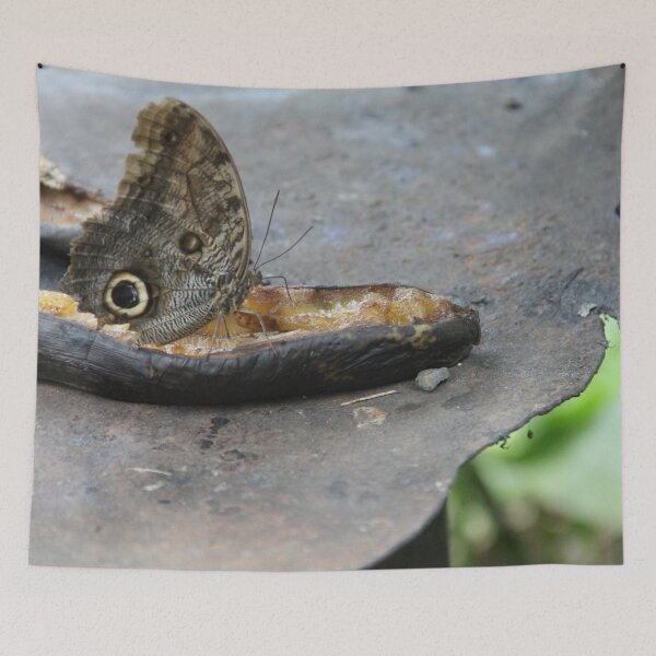 Item preview, Butterflies and Bananas designed and sold by SJ Reddy.