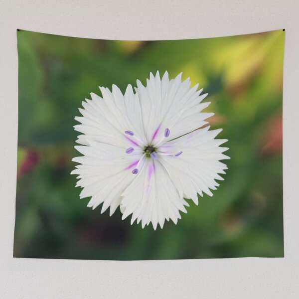 Item preview, White Dianthus designed and sold by StampCity.