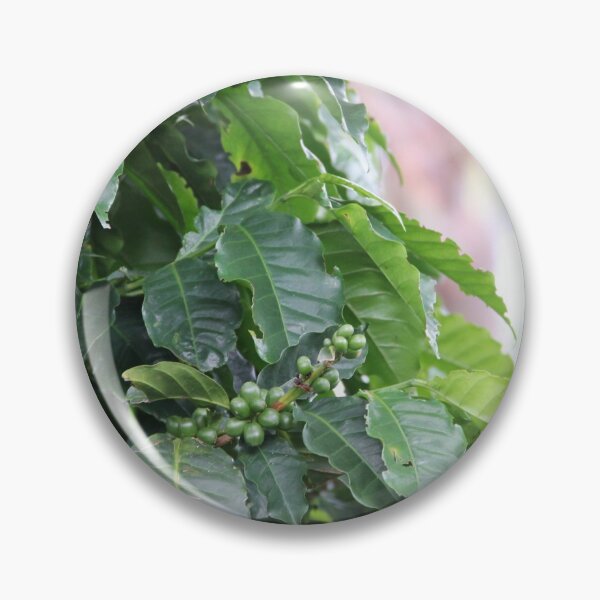 Item preview, Coffee Beans designed and sold by SJ Reddy.