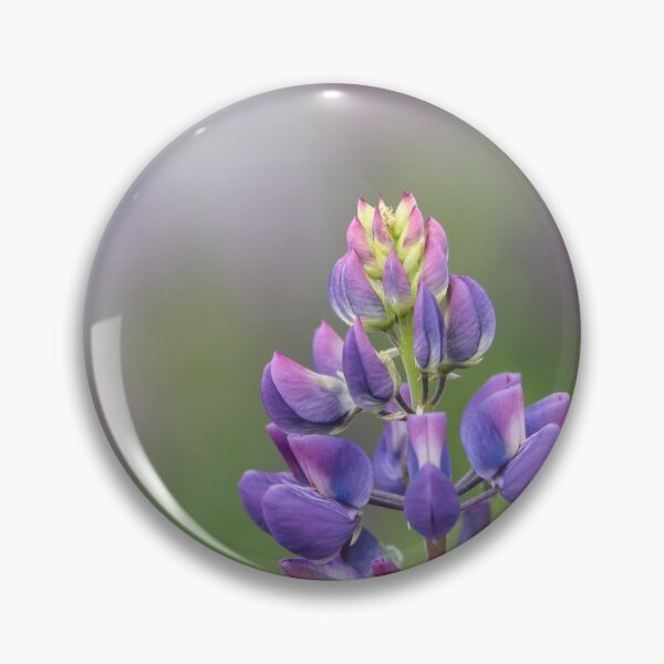 Item preview, Lupin Lights designed and sold by Tracy Friesen.