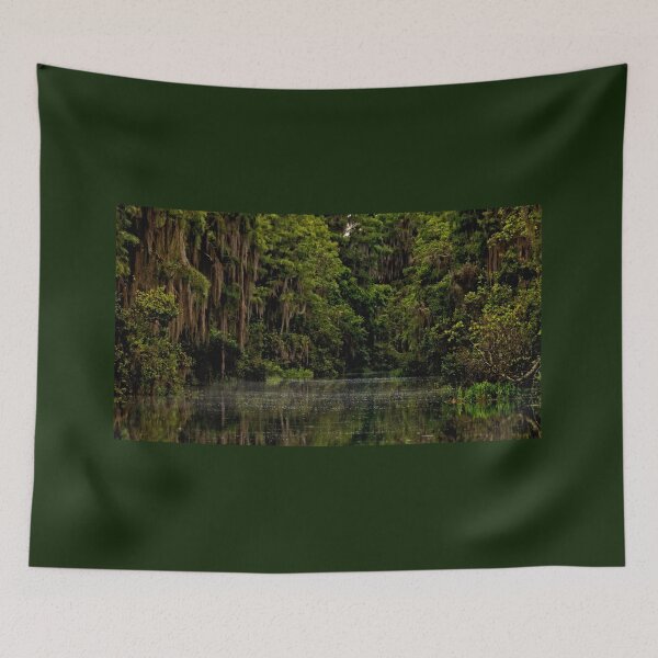 Item preview, Okefenokee Stillness of the Swamp  designed and sold by KbytesOfJax Outdoor and Nature.