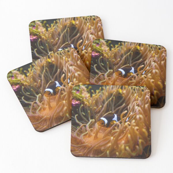 Item preview, Clownfish 02 Image By Rich AMeN Gill designed and sold by RichAMeNGill.