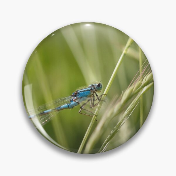 Item preview, Damselfly designed and sold by Tracy Friesen.