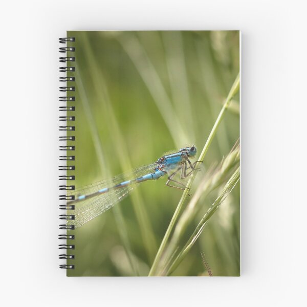Item preview, Damselfly designed and sold by Tracy Friesen.