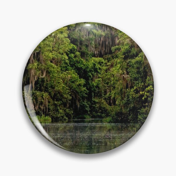 Item preview, Okefenokee Mossy Tree View  designed and sold by KbytesOfJax Outdoor and Nature.