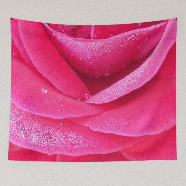 Item preview, Dew on pink rose petals macro designed and sold by Anna Lemos.