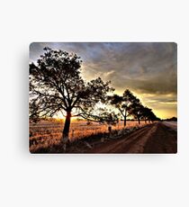 Stockinbingal Sunset # 3 Canvas Print
