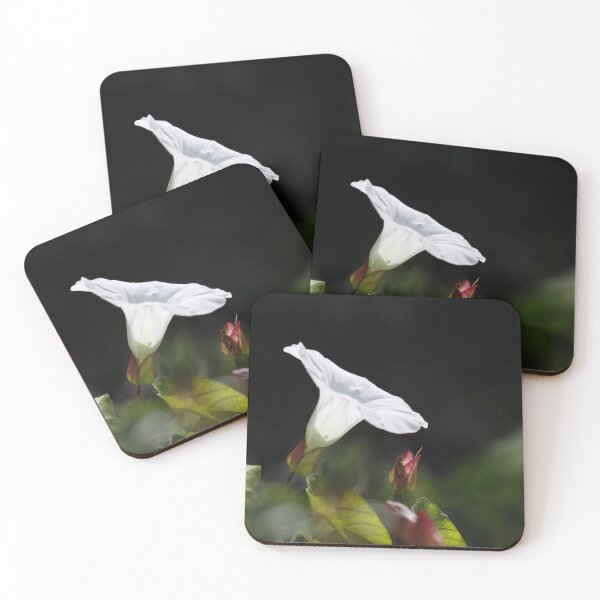 Item preview, Morning Glory designed and sold by Tracy Friesen.