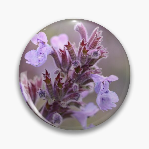 Item preview, Catmint Colours designed and sold by Tracy Friesen.