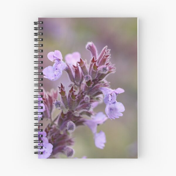 Item preview, Catmint Colours designed and sold by Tracy Friesen.