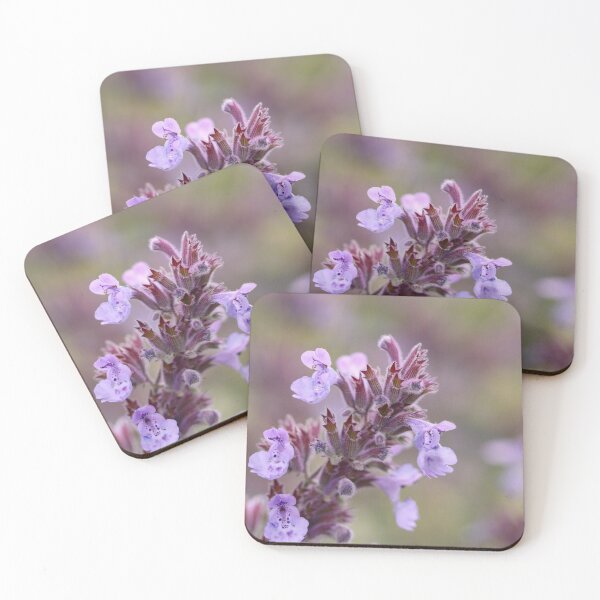Item preview, Catmint Colours designed and sold by Tracy Friesen.