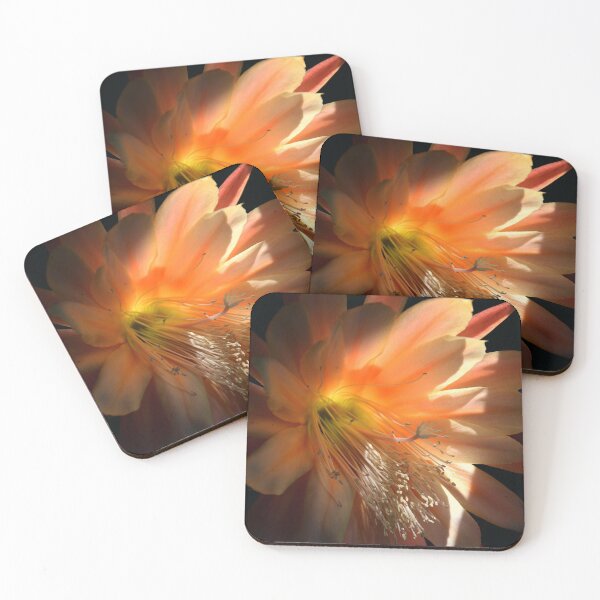 Item preview, Catching A Few Rays designed and sold by Michael May.