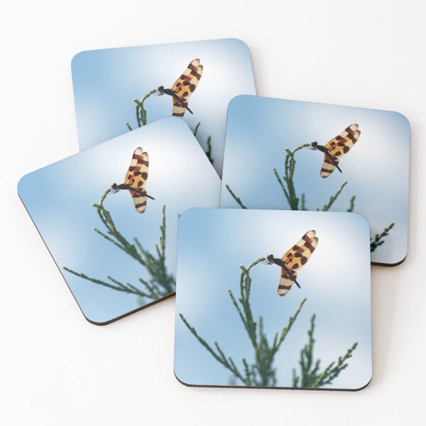 Item preview, Halloween Pennant Dragonfly designed and sold by StampCity.