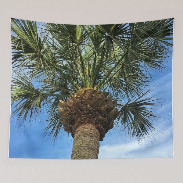 Item preview, Florida Sabal Palm Tree in Blue Sky designed and sold by Gsallicat.