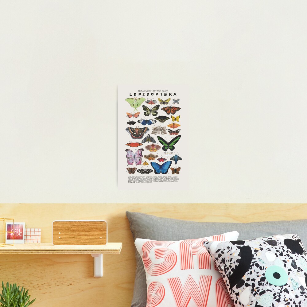 90s butterfly aesthetic Photographic Print