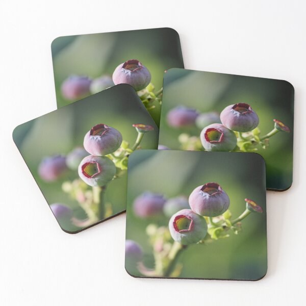 Item preview, Berries in the Evening Sun designed and sold by Tracy Friesen.