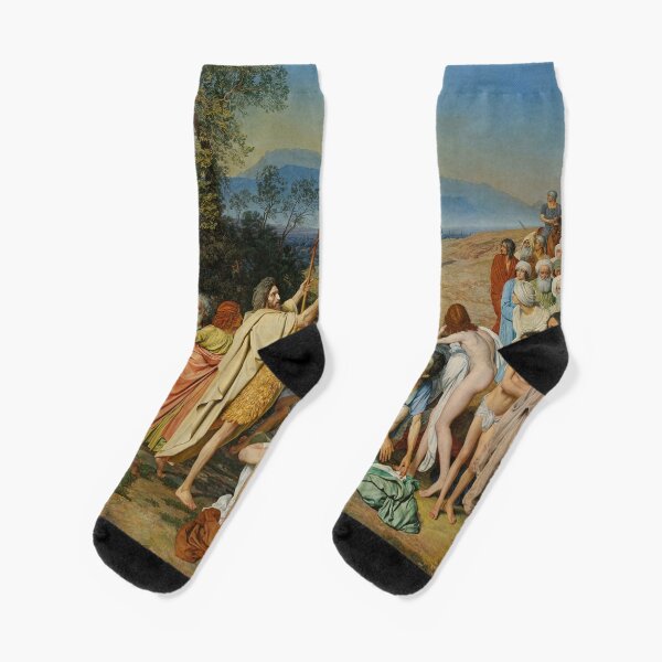 The Appearance of Christ Before the People Socks