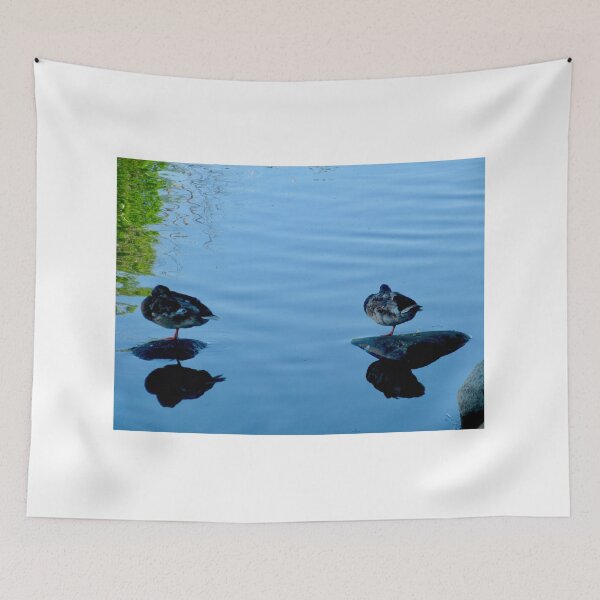 Item preview, Ducks in the Rideau River 2020 designed and sold by Shulie1.