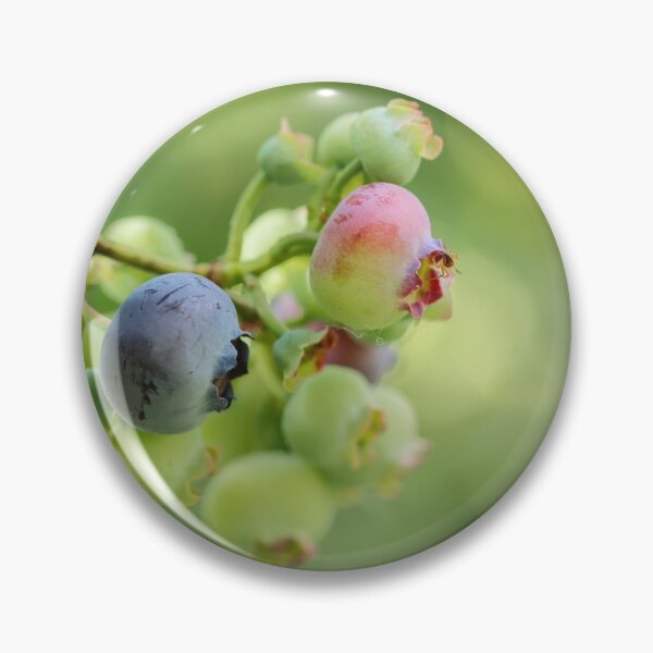 Item preview, Ripening designed and sold by Tracy Friesen.