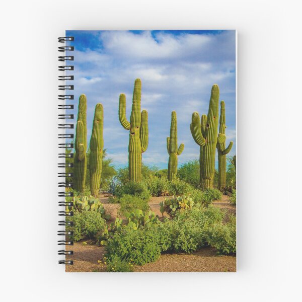 Item preview, Cactus Array designed and sold by gemlenz.