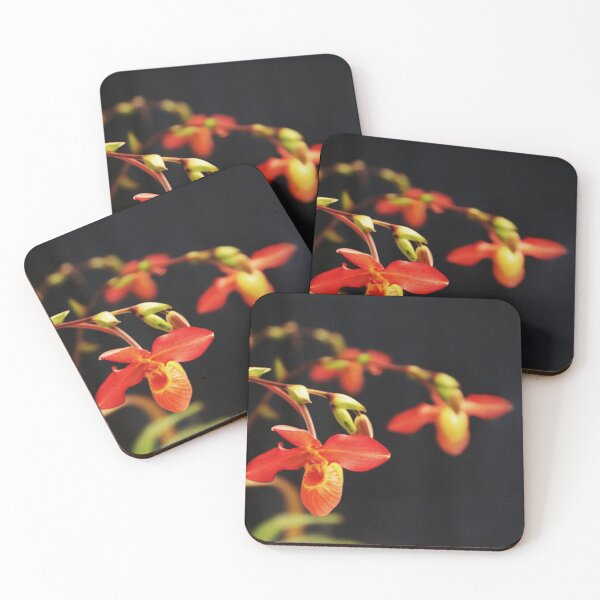 Item preview, The Andean Fire Dance designed and sold by Michael May.
