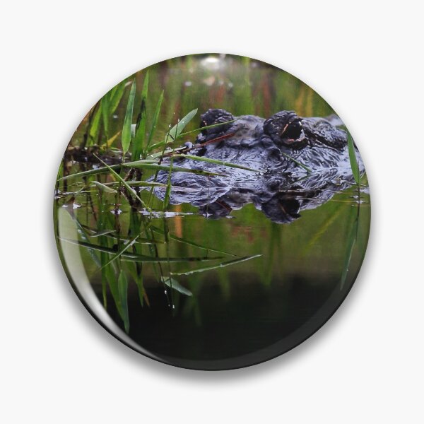 Item preview, Alligator floating in Grass  designed and sold by KbytesOfJax Outdoor and Nature.
