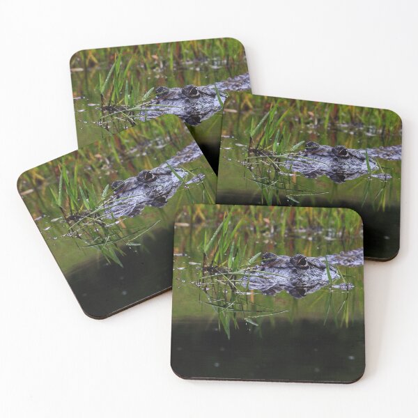 Item preview, Alligator floating in Grass  designed and sold by KbytesOfJax Outdoor and Nature.