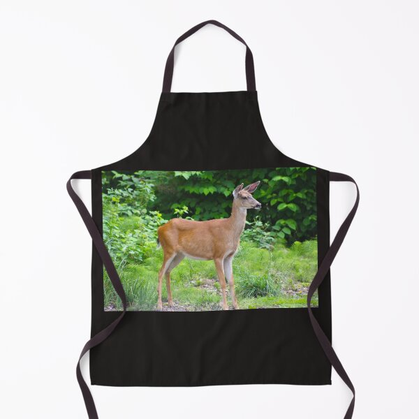Item preview, Black-tailed deer designed and sold by RichImage.