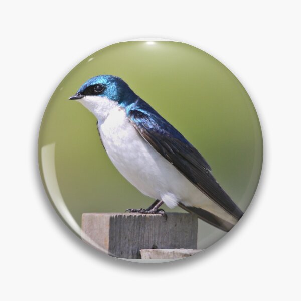 Item preview, Tree Swallow... designed and sold by RichImage.