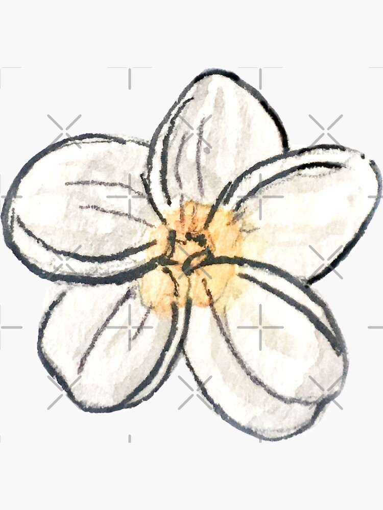 White Plumeria Flower in Watercolor - Tropical Flower by WitchofWhimsy