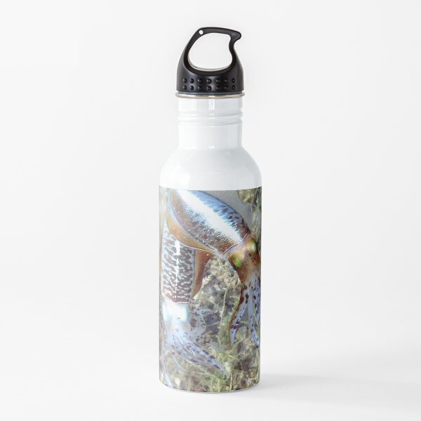 Watercolor Squid, Caribbean Reef Squid 01, St John, USVI, Iridescent Dreams Water Bottle