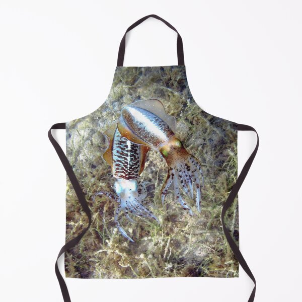 Watercolor Squid, Caribbean Reef Squid 01, St John, USVI, Iridescent Dreams Apron