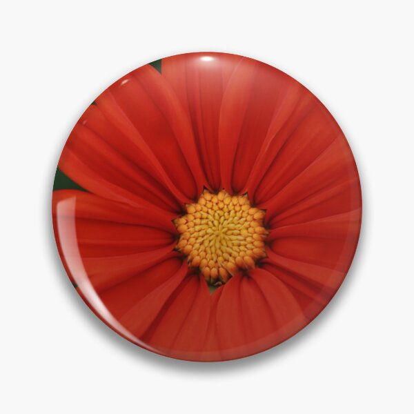Artikelvorschau, Mexikanische Sonnenblume entworfen und verkauft von StampCity.