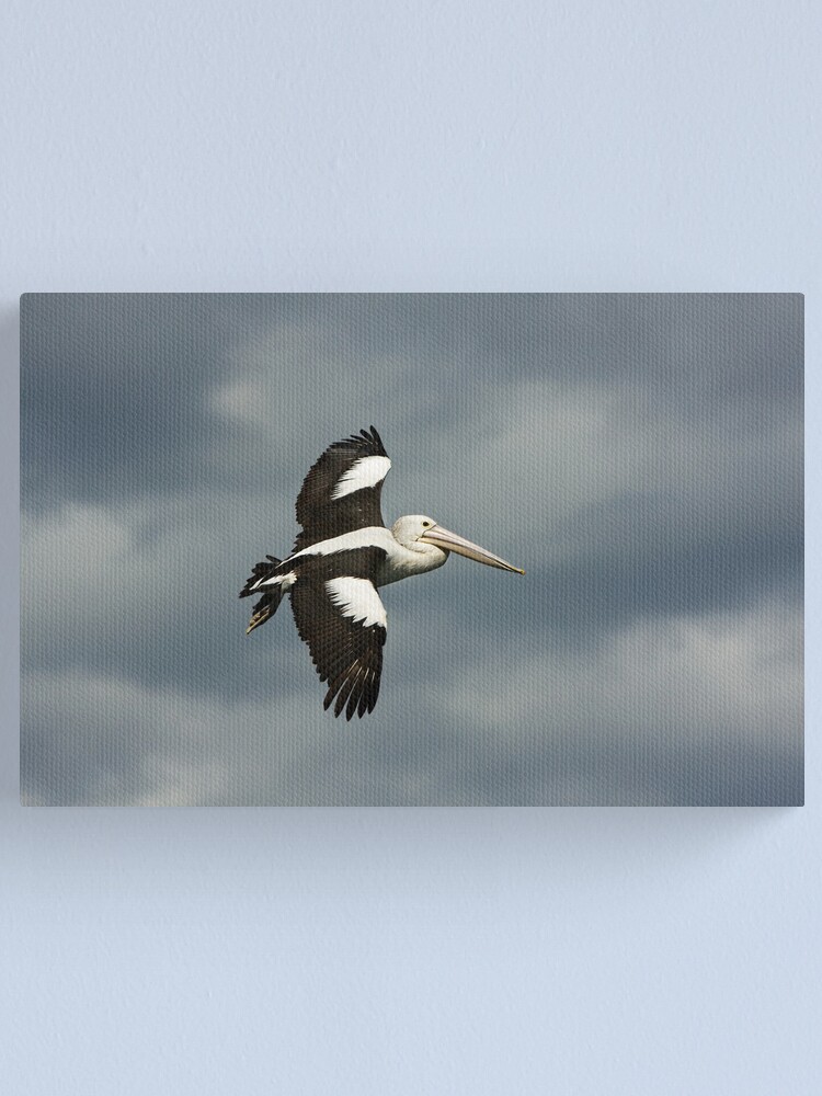 Alternate view of Flying Pelican Canvas Print