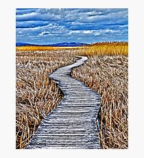 Vanishing Point Photographic Print