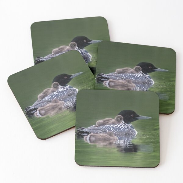 Item preview, Common Loon with her chicks in the Gile Flowage designed and sold by TheCurators.
