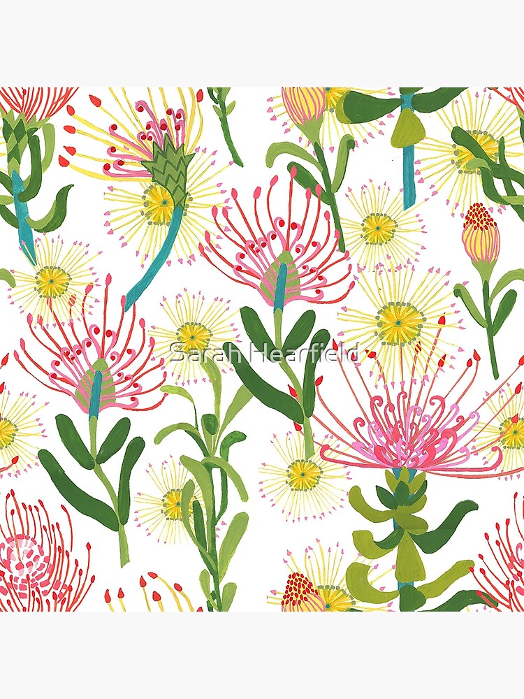 Pincushion Proteas by sarahrozdilski