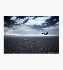 Desolate Photographic Print