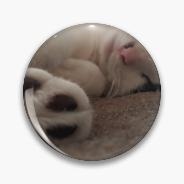 Item preview, Sleeping cat designed and sold by geniedesigns.