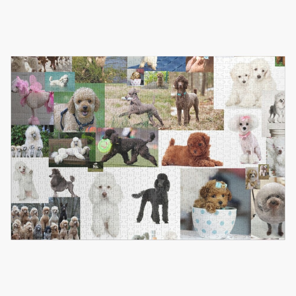 Puzzle Dogs - Collage, 1 000 pieces