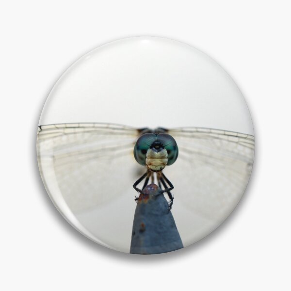 Item preview, Blue Dasher Dragonfly designed and sold by StampCity.