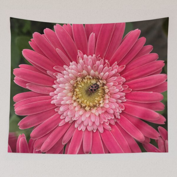 Item preview, Pink on Pink designed and sold by StampCity.